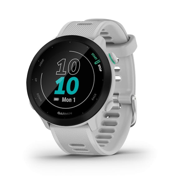 Garmin Forerunner 55 Garmin Forerunner 55